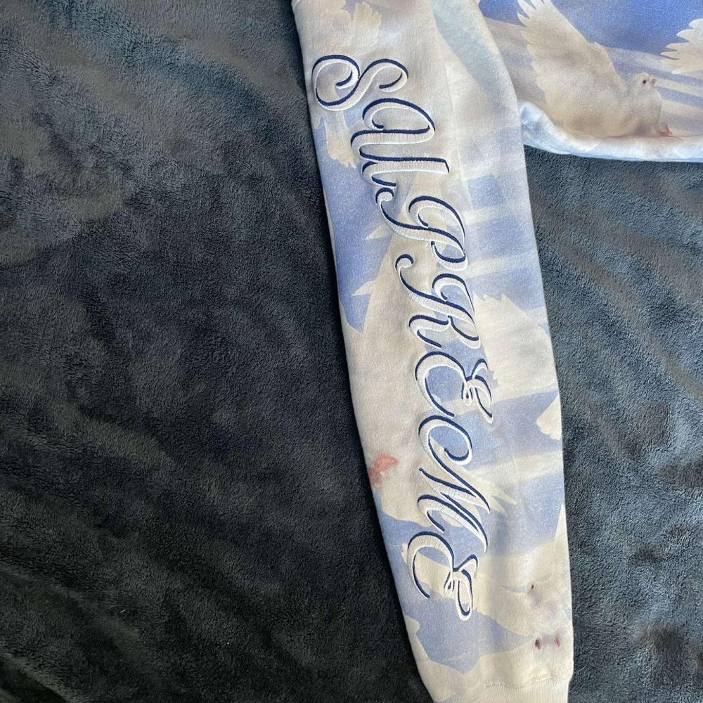 Blue Supreme Dove hoodie (Size Medium)